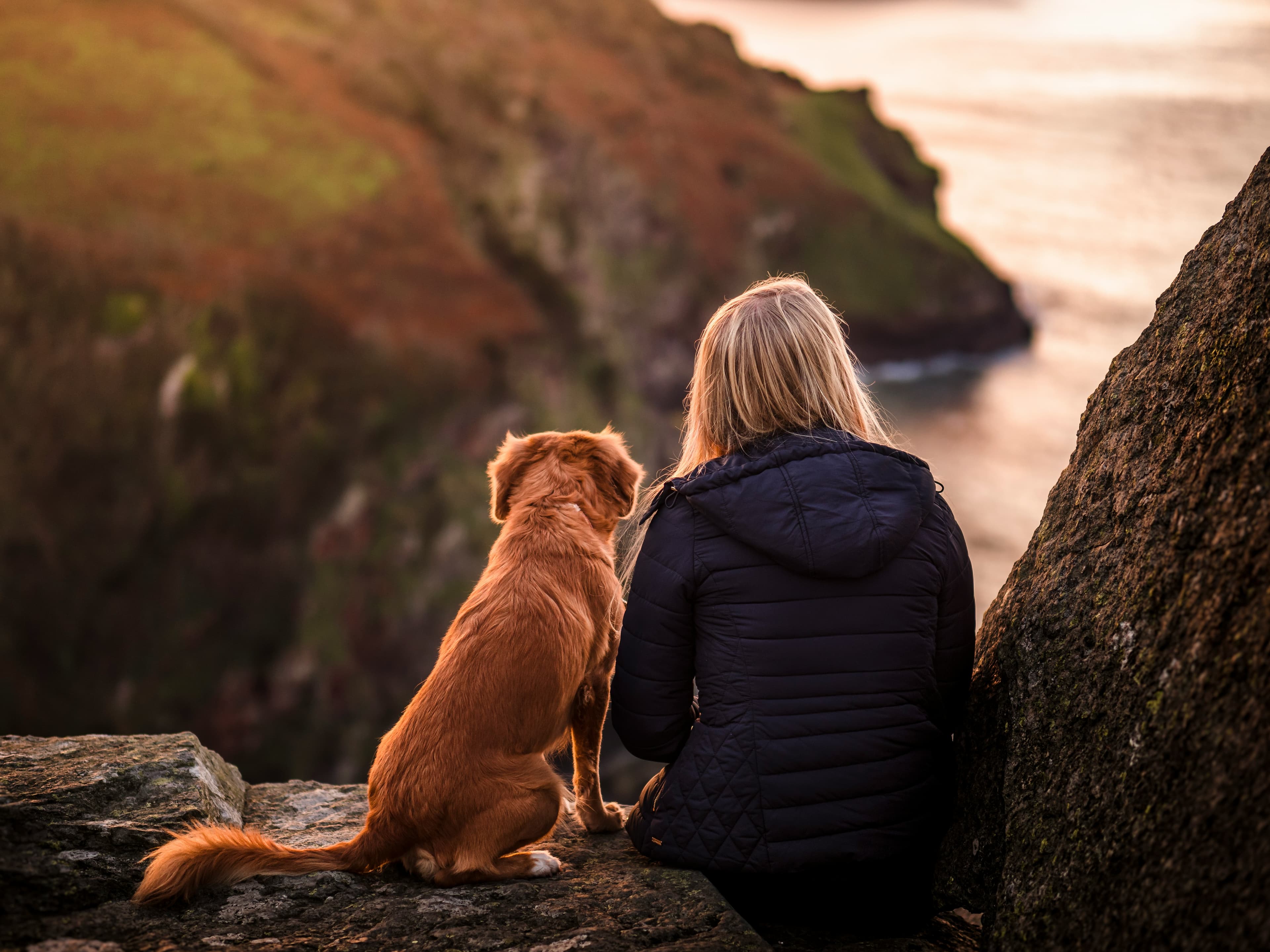 Cozy moment sharing affection with an adopted pet